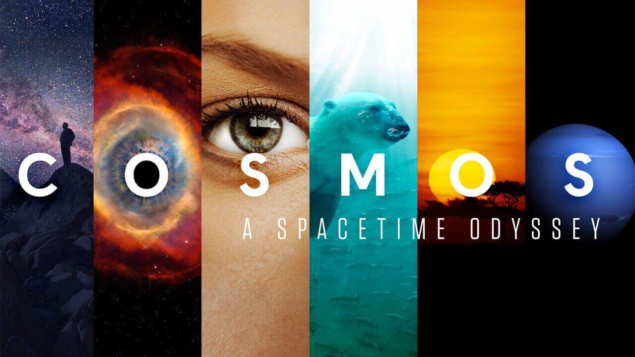 Cosmos Poster