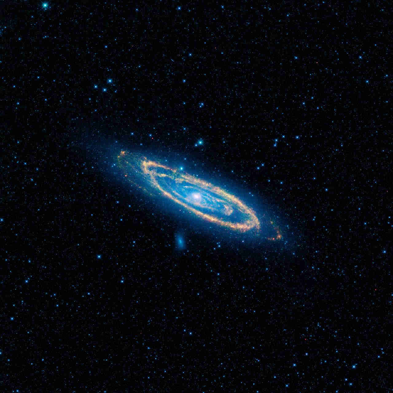 Andromeda Image