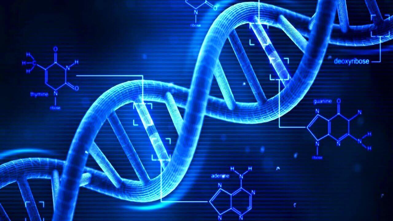 DNA Strand